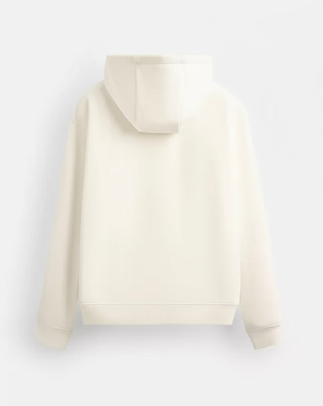 DARIUSH ZANDI WP Hoodie